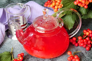 Отвар из калины